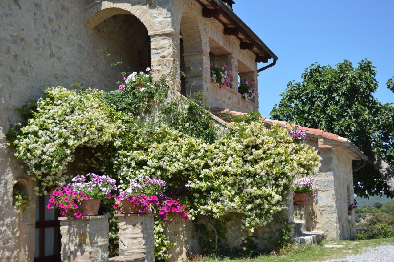 Bellavista Villa Seggiano Luaran gambar