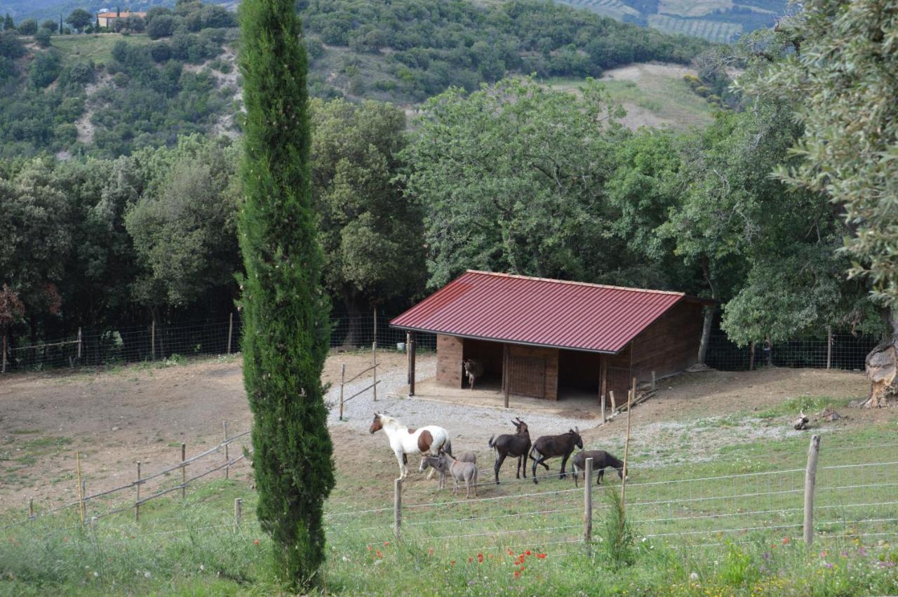 Bellavista Villa Seggiano Luaran gambar