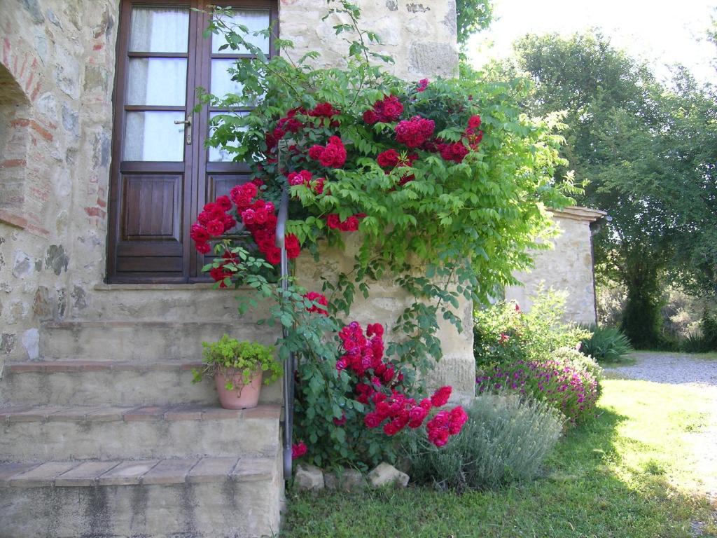 Bellavista Villa Seggiano Luaran gambar