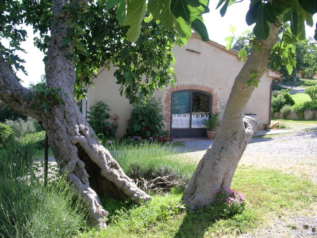 Bellavista Villa Seggiano Luaran gambar
