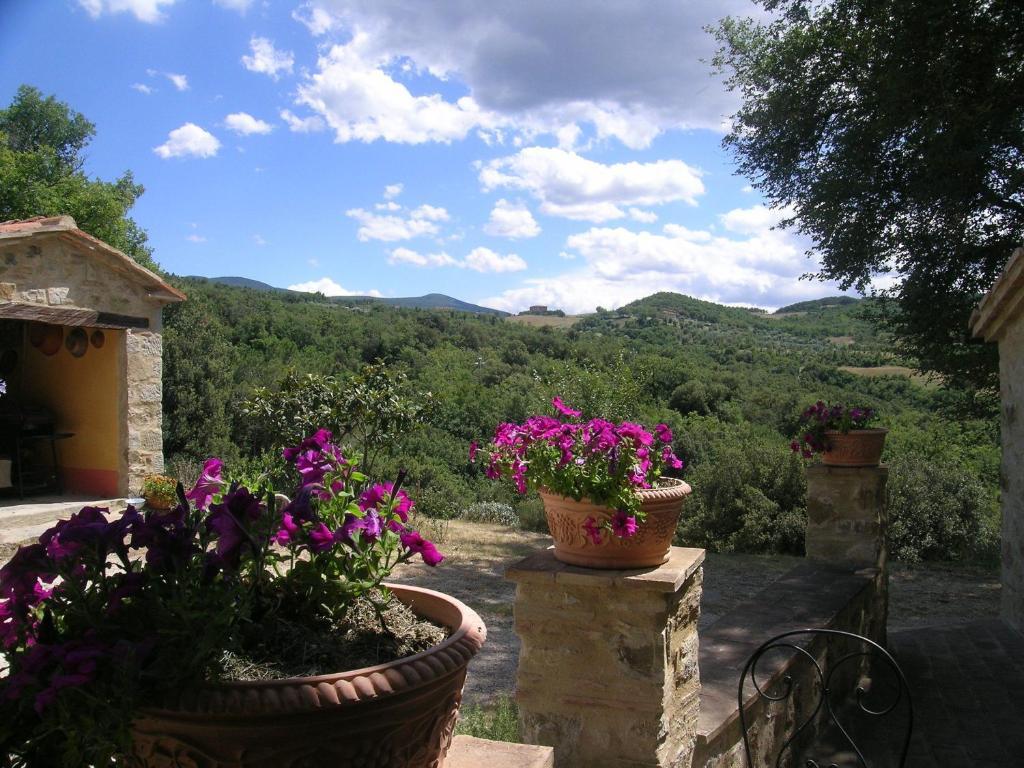 Bellavista Villa Seggiano Luaran gambar