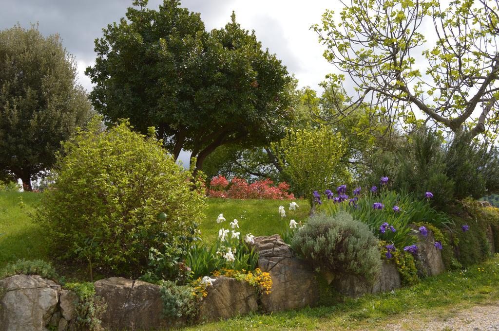 Bellavista Villa Seggiano Luaran gambar